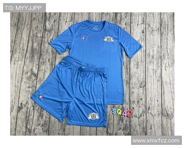 足球球星T恤价格低廉如何选择合适款式和购买渠道